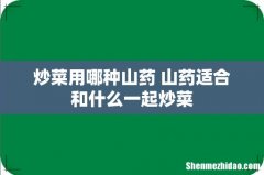 炒菜用哪种山药 山药适合和什么一起炒菜