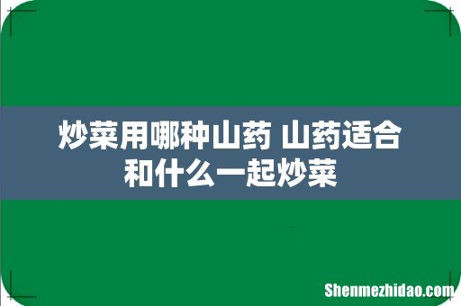 炒菜用哪种山药 山药适合和什么一起炒菜