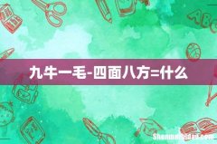 九牛一毛-四面八方=什么