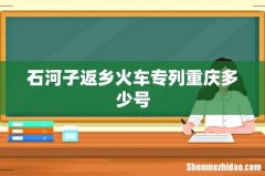 石河子返乡火车专列重庆多少号