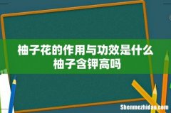 柚子花的作用与功效是什么 柚子含钾高吗