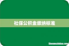 社保公积金缴纳标准