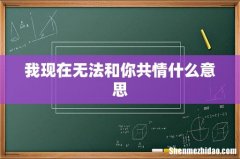 我现在无法和你共情什么意思