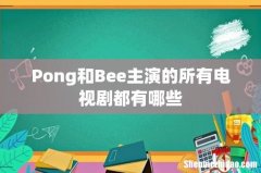 Pong和Bee主演的所有电视剧都有哪些