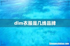 dim衣服是几线品牌