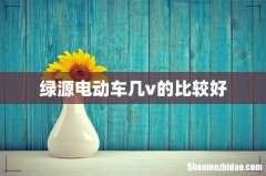 绿源电动车几v的比较好
