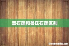 蓝石莲和鲁氏石莲区别