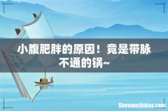 小腹肥胖的原因！竟是带脉不通的锅~