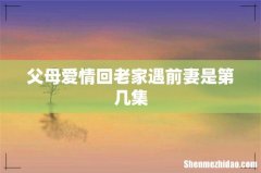 父母爱情回老家遇前妻是第几集