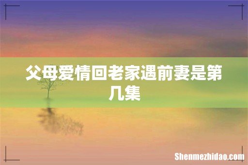 父母爱情回老家遇前妻是第几集