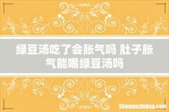 绿豆汤吃了会胀气吗 肚子胀气能喝绿豆汤吗