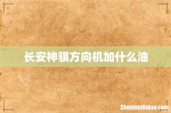 长安神骐方向机加什么油