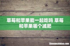 草莓和苹果能一起吃吗 草莓和苹果哪个减肥