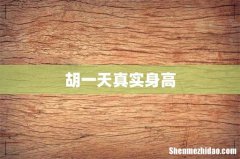 胡一天真实身高