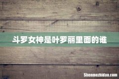 斗罗女神是叶罗丽里面的谁