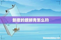 新撒的螺蛳青怎么钓