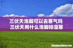 三伏天泡脚可以去寒气吗 三伏天用什么泡脚排湿寒