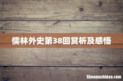 儒林外史第38回赏析及感悟