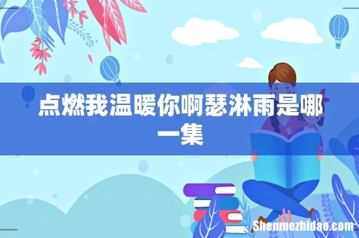 点燃我温暖你啊瑟淋雨是哪一集
