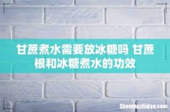 甘蔗煮水需要放冰糖吗 甘蔗根和冰糖煮水的功效
