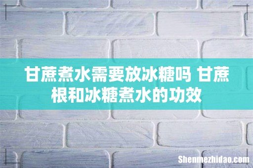 甘蔗煮水需要放冰糖吗 甘蔗根和冰糖煮水的功效