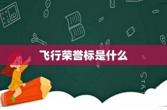飞行荣誉标是什么