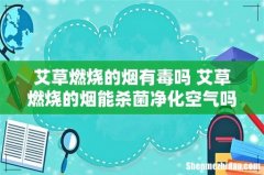 艾草燃烧的烟有毒吗 艾草燃烧的烟能杀菌净化空气吗