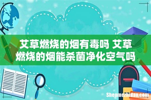 艾草燃烧的烟有毒吗 艾草燃烧的烟能杀菌净化空气吗