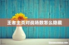 王者主页对战场数怎么隐藏