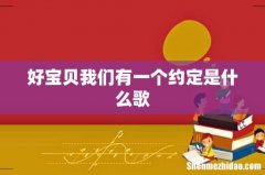 好宝贝我们有一个约定是什么歌