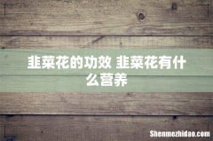 韭菜花的功效 韭菜花有什么营养
