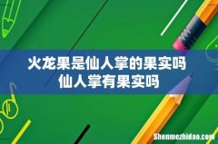 火龙果是仙人掌的果实吗 仙人掌有果实吗