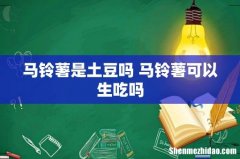 马铃薯是土豆吗 马铃薯可以生吃吗