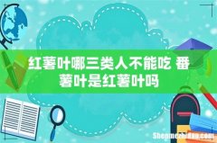 红薯叶哪三类人不能吃 番薯叶是红薯叶吗