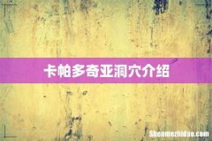 卡帕多奇亚洞穴介绍