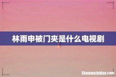林雨申被门夹是什么电视剧