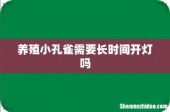养殖小孔雀需要长时间开灯吗