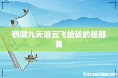 鹤啸九天洛云飞给砍的是那集