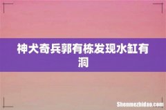 神犬奇兵郭有栋发现水缸有洞