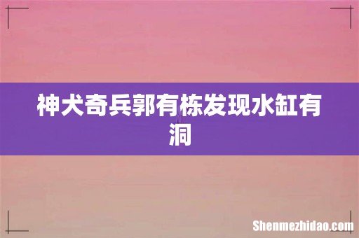 神犬奇兵郭有栋发现水缸有洞