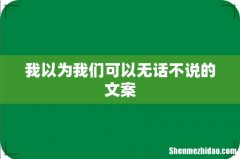 我以为我们可以无话不说的文案