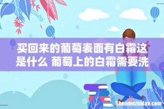 买回来的葡萄表面有白霜这是什么 葡萄上的白霜需要洗掉吗