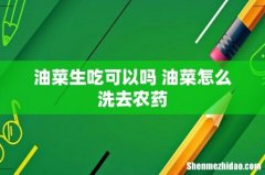 油菜生吃可以吗 油菜怎么洗去农药