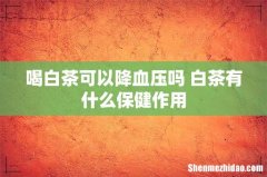 喝白茶可以降血压吗 白茶有什么保健作用
