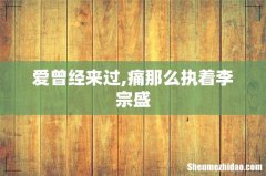 爱曾经来过,痛那么执着李宗盛