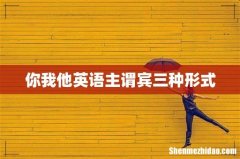 你我他英语主谓宾三种形式