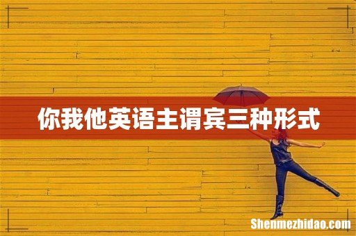 你我他英语主谓宾三种形式