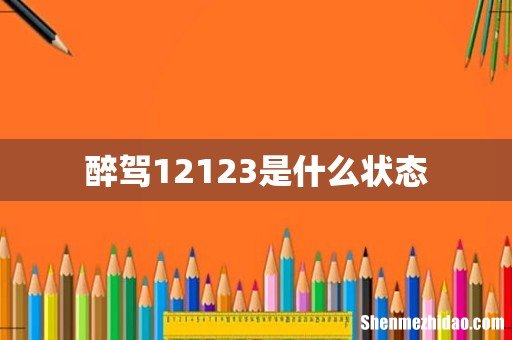 醉驾12123是什么状态
