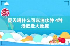 夏天喝什么可以消水肿 4种汤赶走大象腿