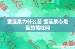 雪莲果为什么苦 雪莲果心是苦的能吃吗